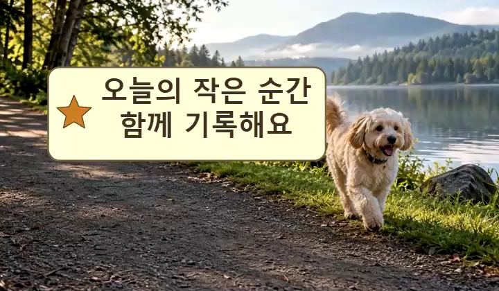 실제 저장 예시: 산책 장면 위 별 스티커 문구